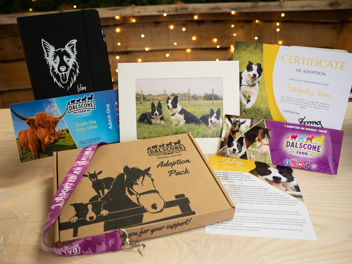 2027 Adoption Pack - The Sheepdogs