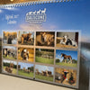 Dalscone Official 2027 Wall Calendar