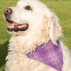 Dalscone Harris Tweed Dog Bandana