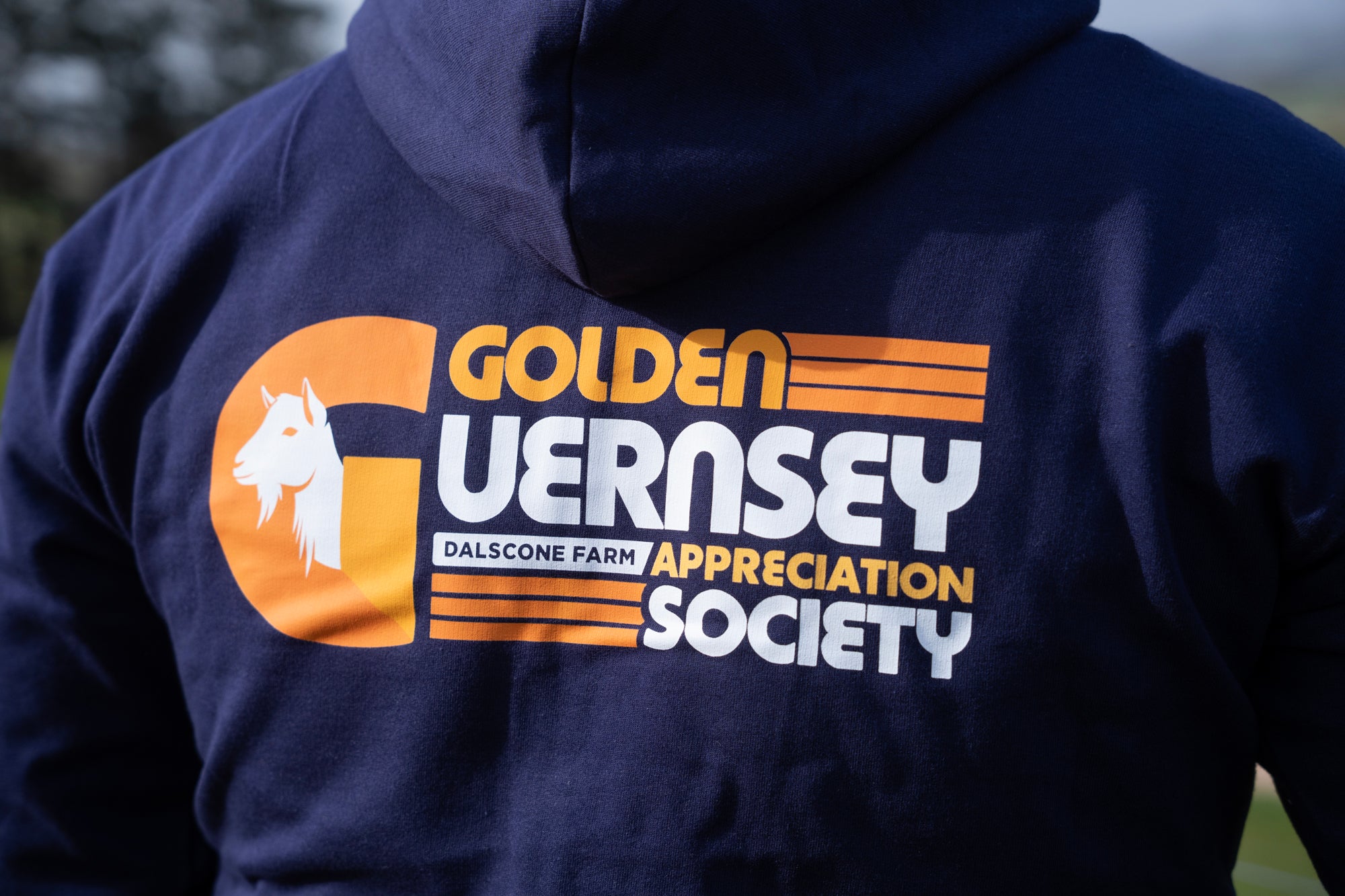 Dalscone Golden Guernsey Zippy *PRESALE* Shipped W/C 27/4