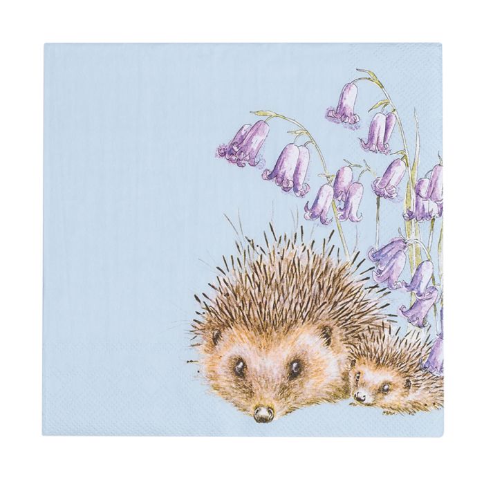 'Hedgehugs' Hedgehog Lunch Napkins Pack of 20