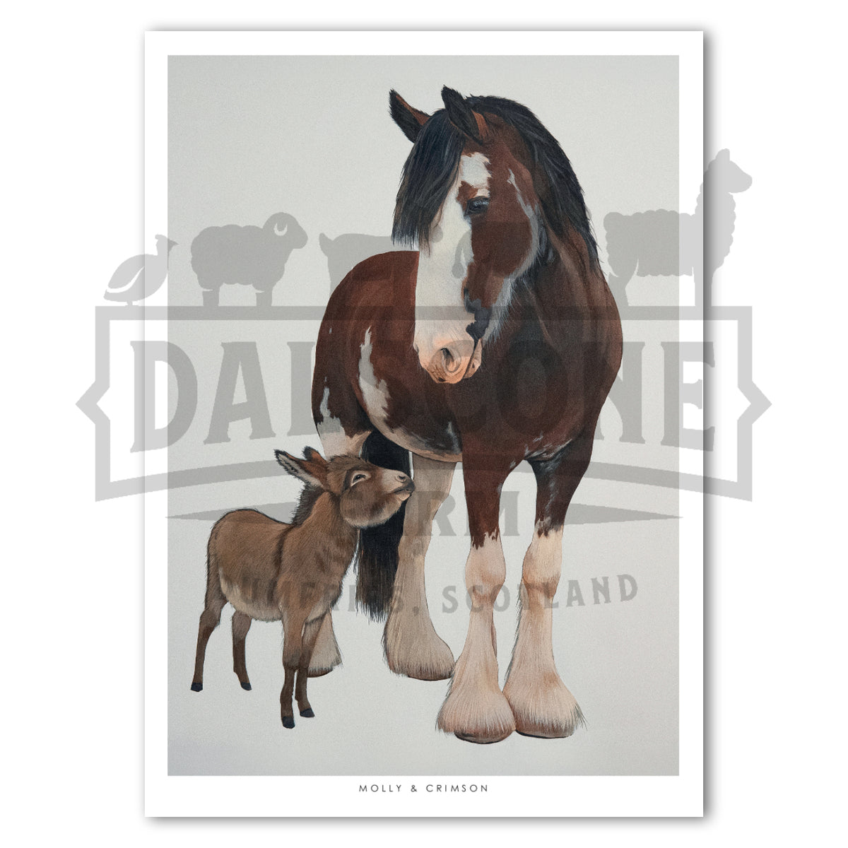 Molly & Crimson Limited Edition Print