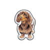 Wrendale Designs "Little Sausage" Dog Pin Badge