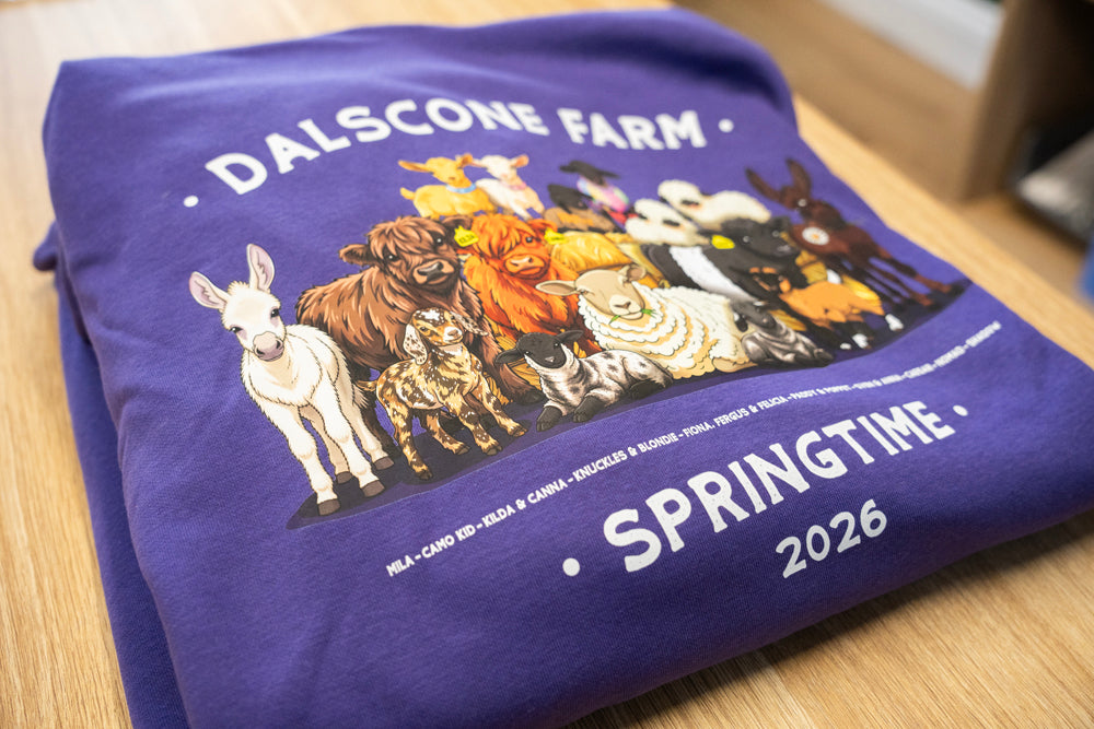 Dalscone 2026 Springtime Hoodie