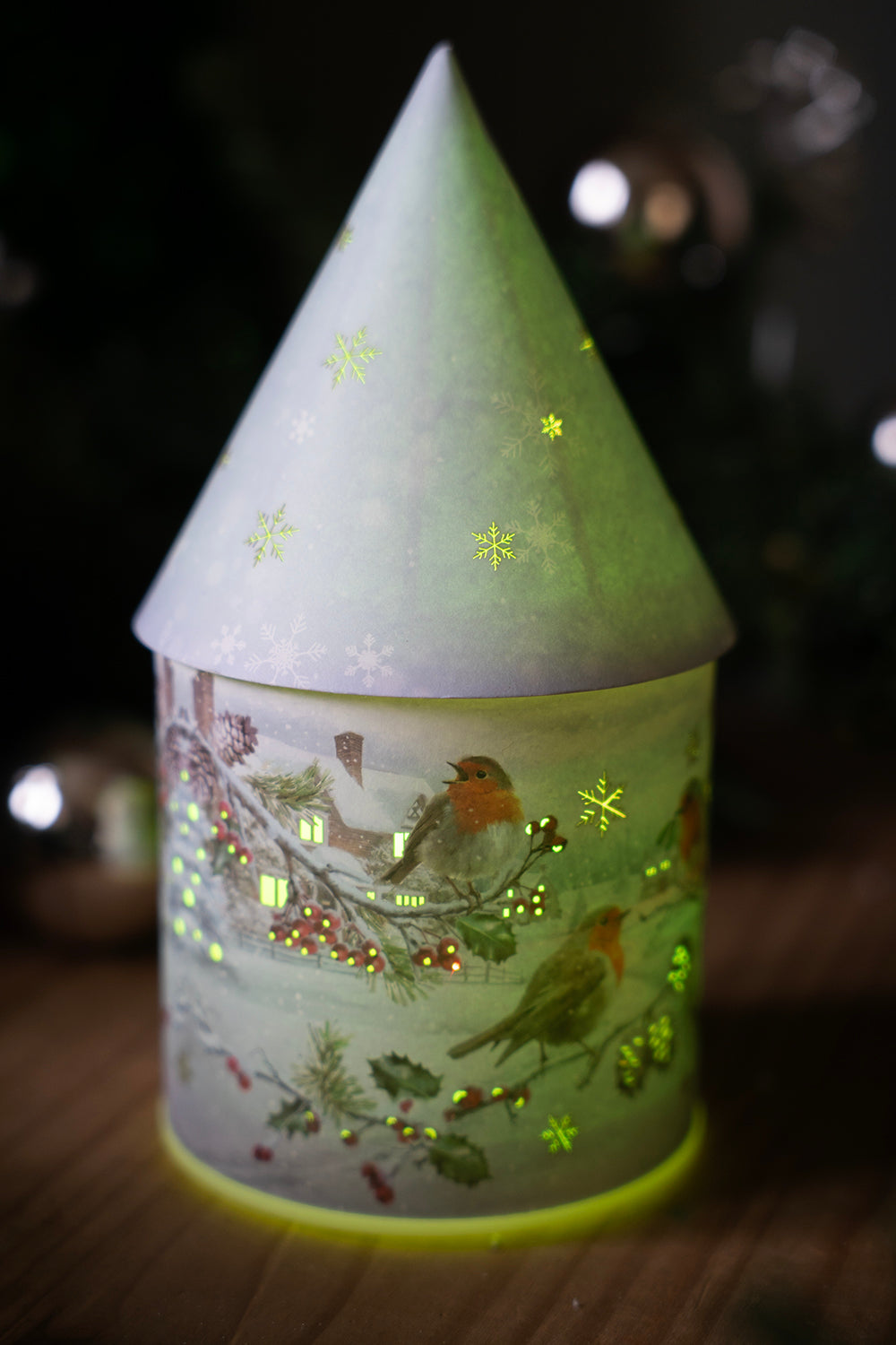 Winter Robin LED House