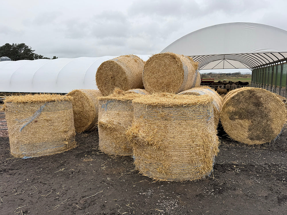 Gift a Bale of Straw for the Farm