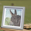 Needle Felt Donkey Framed Picture