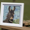 Needle Felt Donkey Framed Picture